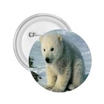 polar 2.25  Button