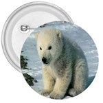 polar 3  Button