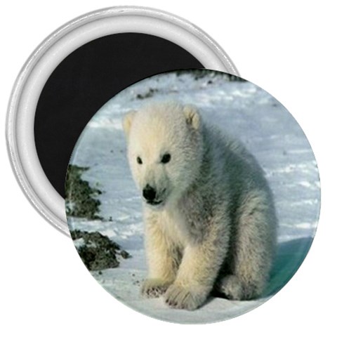 polar 3  Magnet from UrbanLoad.com Front