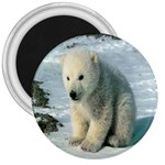 polar 3  Magnet