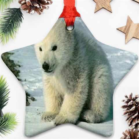 polar Ornament (Star) from UrbanLoad.com Front