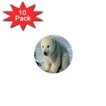 polar 1  Mini Button (10 pack) 