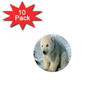 polar 1  Mini Magnet (10 pack) 