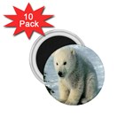 polar 1.75  Magnet (10 pack) 