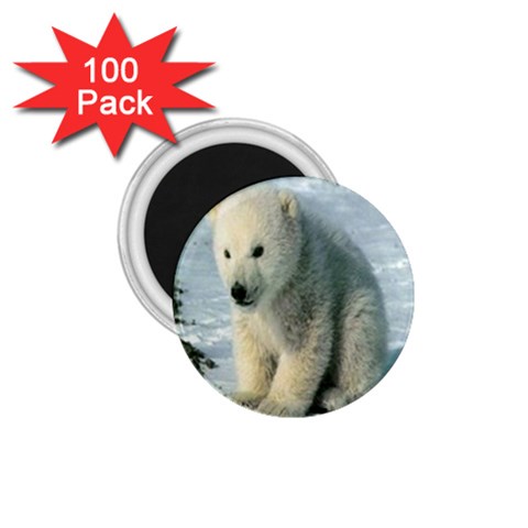 polar 1.75  Magnet (100 pack)  from UrbanLoad.com Front