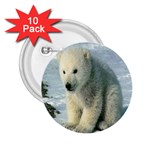 polar 2.25  Button (10 pack)