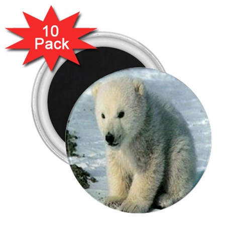 polar 2.25  Magnet (10 pack) from UrbanLoad.com Front