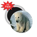 polar 2.25  Magnet (10 pack)