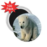 polar 2.25  Magnet (100 pack) 