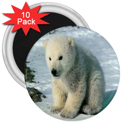 polar 3  Magnet (10 pack) from UrbanLoad.com Front