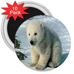 polar 3  Magnet (10 pack)