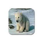 polar Rubber Square Coaster (4 pack)