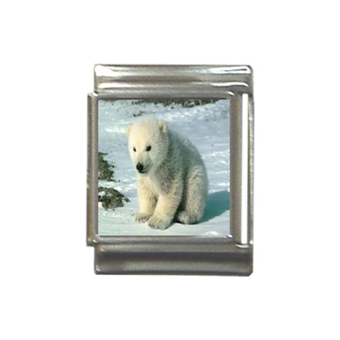 polar Italian Charm (13mm) from UrbanLoad.com Front