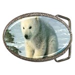 polar Belt Buckle