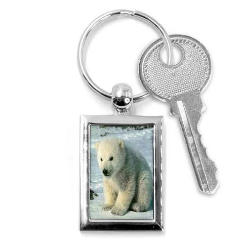 polar Key Chain (Rectangle) from UrbanLoad.com Front