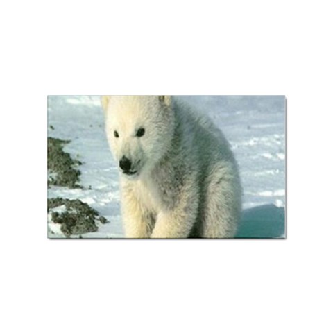 polar Sticker (Rectangular) from UrbanLoad.com Front