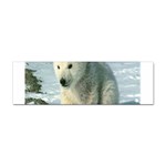 polar Sticker (Bumper)