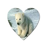 polar Magnet (Heart)