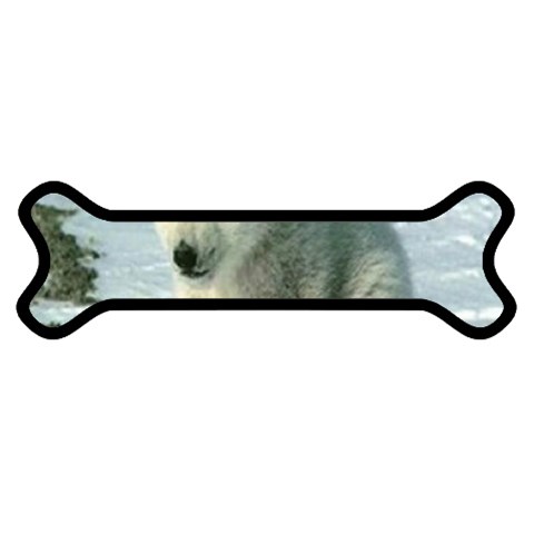 polar Magnet (Dog Bone) from UrbanLoad.com Front