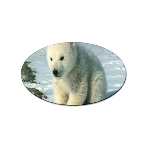 polar Sticker Oval (100 pack) from UrbanLoad.com Front