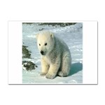 polar Sticker A4 (100 pack)