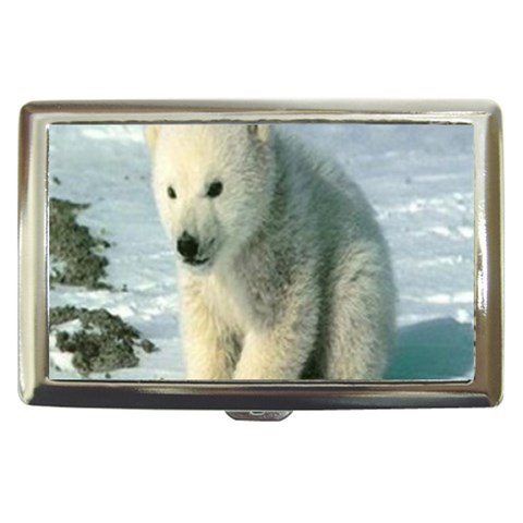polar Cigarette Money Case from UrbanLoad.com Front