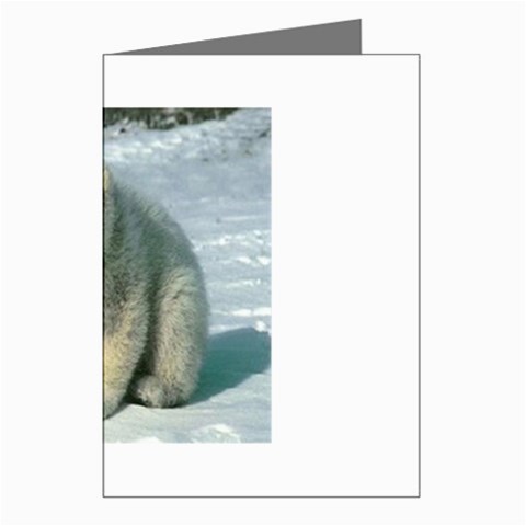 polar Greeting Cards (Pkg of 8) from UrbanLoad.com Left