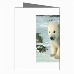 polar Greeting Cards (Pkg of 8) from UrbanLoad.com Right