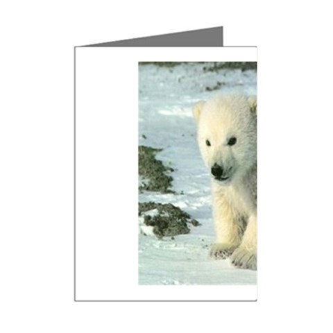 polar Mini Greeting Cards (Pkg of 8) from UrbanLoad.com Right
