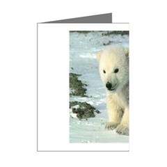 polar Mini Greeting Cards (Pkg of 8) from UrbanLoad.com Right
