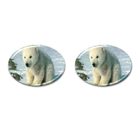polar Cufflinks (Oval) from UrbanLoad.com Front(Pair)