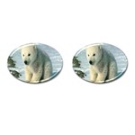 polar Cufflinks (Oval)