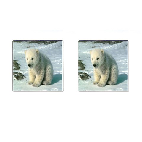 polar Cufflinks (Square) from UrbanLoad.com Front(Pair)