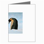 penguin Greeting Card