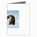penguin Greeting Cards (Pkg of 8)