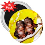 monkeys 3  Magnet (10 pack)
