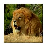 lion Tile Coaster