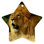 lion Ornament (Star)