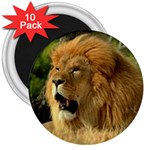 lion 3  Magnet (10 pack)