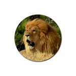 lion Rubber Round Coaster (4 pack)