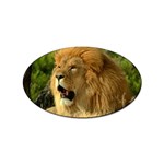 lion Sticker Oval (100 pack)
