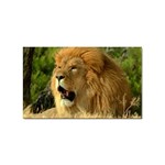 lion Sticker Rectangular (100 pack)
