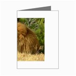 lion Mini Greeting Card