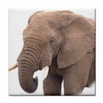 elephant Tile Coaster