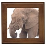 elephant Framed Tile