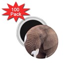 elephant 1.75  Magnet (100 pack) 