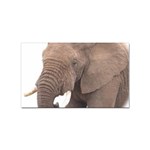 elephant Sticker (Rectangular)