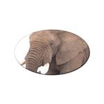 elephant Sticker Oval (100 pack)