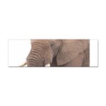 elephant Sticker Bumper (10 pack)