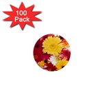 daisys 1  Mini Magnet (100 pack) 